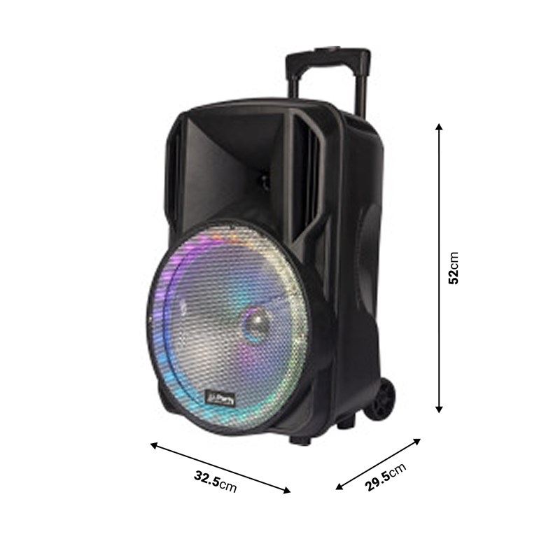 Enceinte portable 12'' Bluetooth USB SD FM avec micro VHF