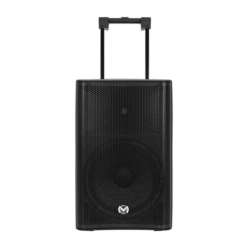 Enceinte portable 12” 500W - 2 micros sans fil - Bluetooth Karaoké