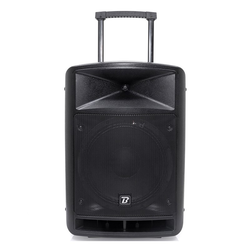 Système de son portable 12" - 600W - 2 micros VHF & TWS - face