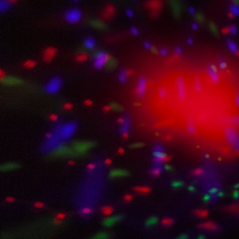 Pack 4 effets lumière LED sur support - RGBW - Effet