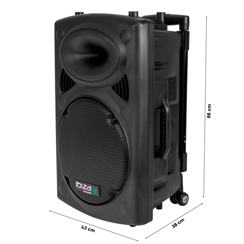Système portable 12”/30cm - 700W - Micro main et micro tête VHF rechargeable