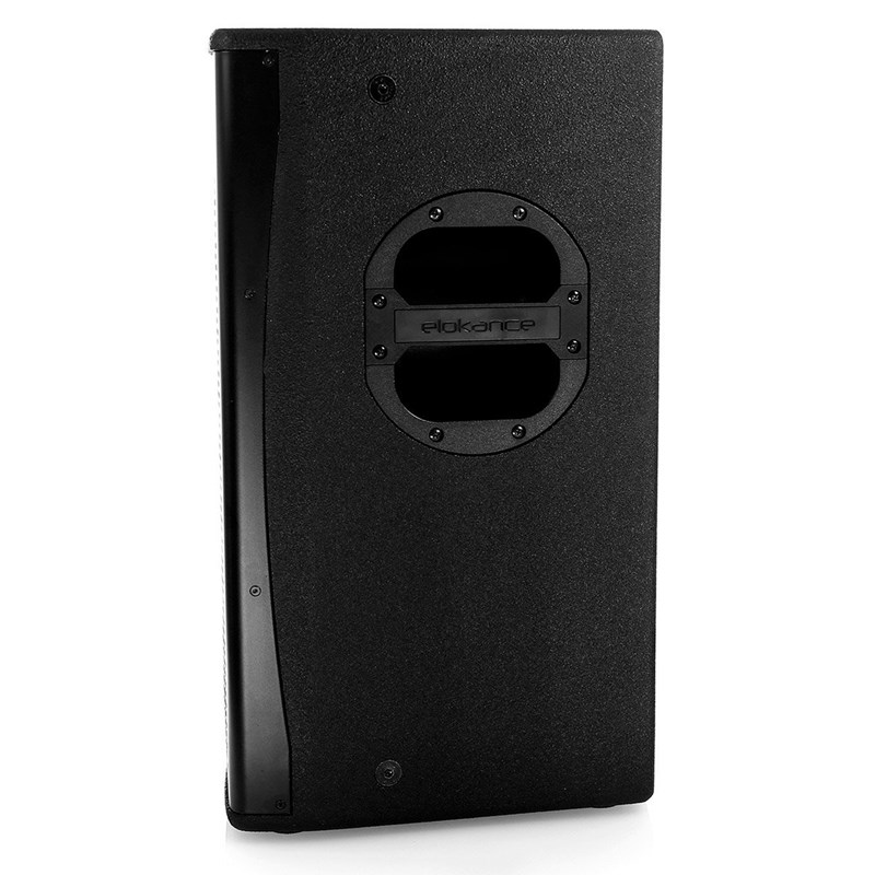 Enceinte passive 2 voies 38 cm - 400W RMS - M10 & BF/HF  - Elokance - E Pro 15 mk2 profile