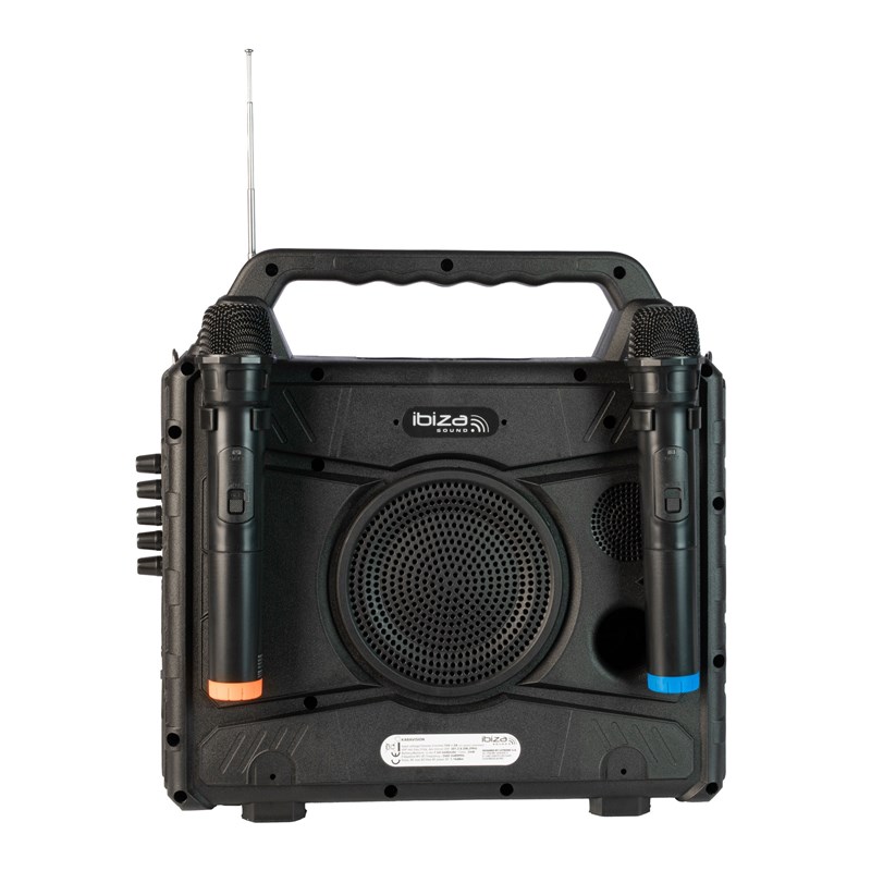 Système Karaoké avec écran 14'' - 2 micros sans fil microphone