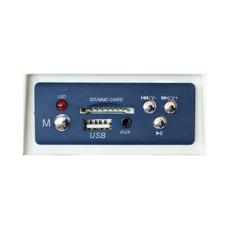 Megaphone 60W - USB SD AUX evenement
