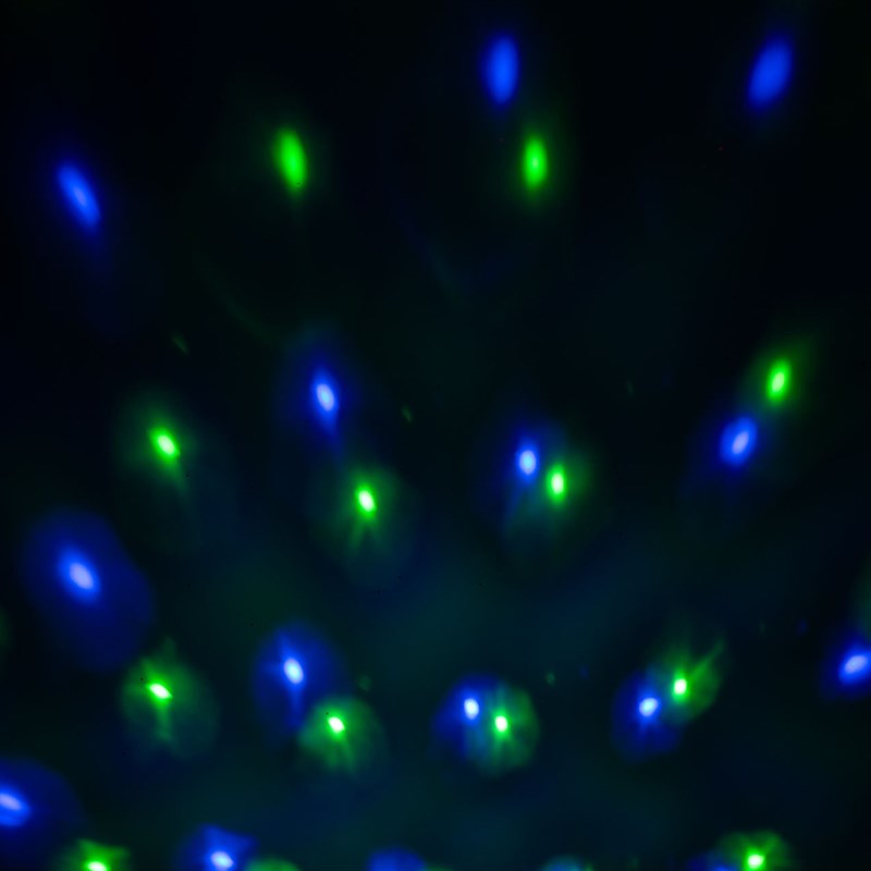 Effet lumière LED RGBA rechargeable 4x3W - ASTRO-BAT - vert bleu