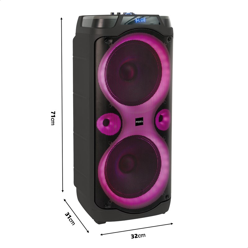 Enceinte Karaoké - 2 x 10" 1000W - 2 micros VHF