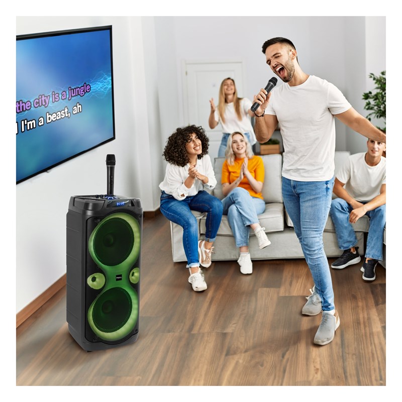 Enceinte Karaoké - 2 x 10" 1000W - Ambiance