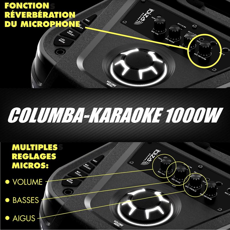 Pack Enceinte Karaoké Bluetooth 1000W - 2 Micros - Machine Fumée 700W - Effet Astro Fête