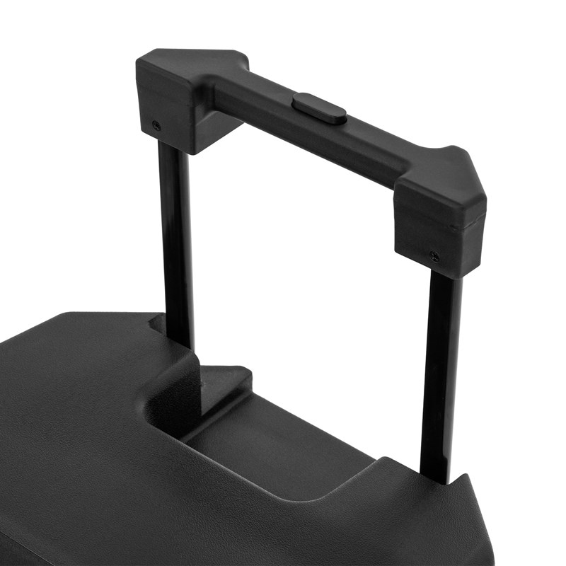 Enceinte portable 12” 500W - 2 micros sans fil - Bluetooth Batterie