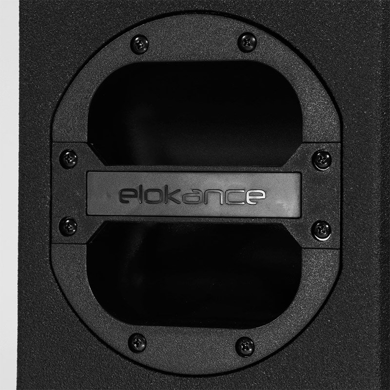 Enceinte passive 2 voies 25 cm - 250W RMS - M10 & BF/HF - Elokance - E Pro 10 mk2 poignée