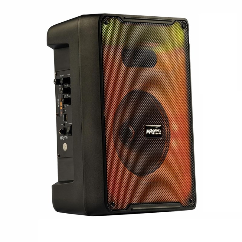 Enceinte karaoké 500W