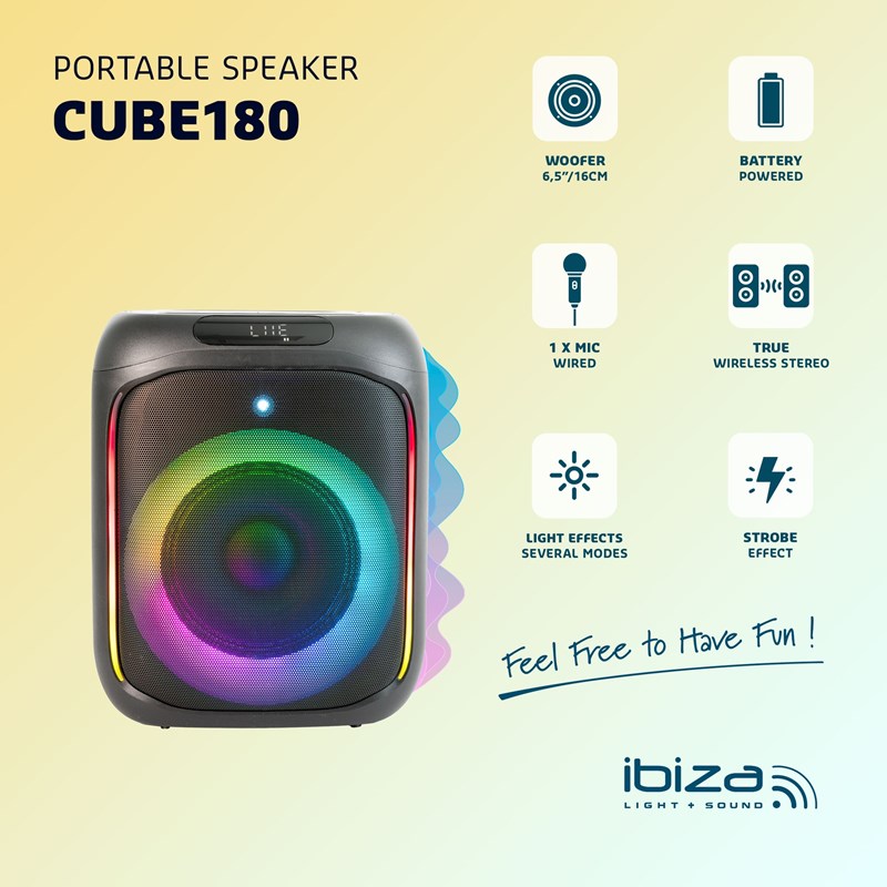 Enceinte de 6,5"