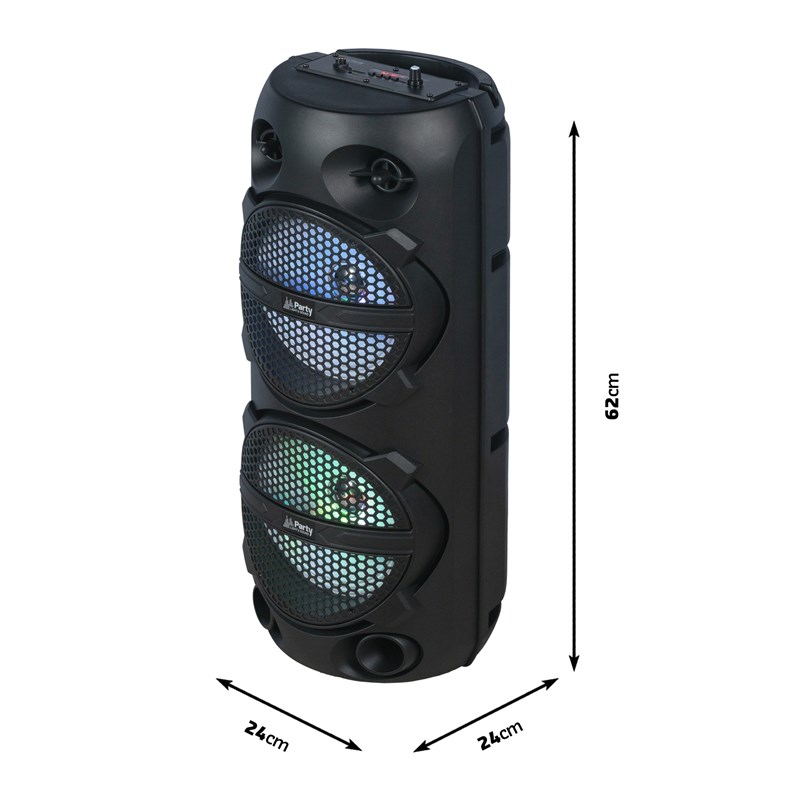 Enceinte 300W sur batterie - Micro filaire