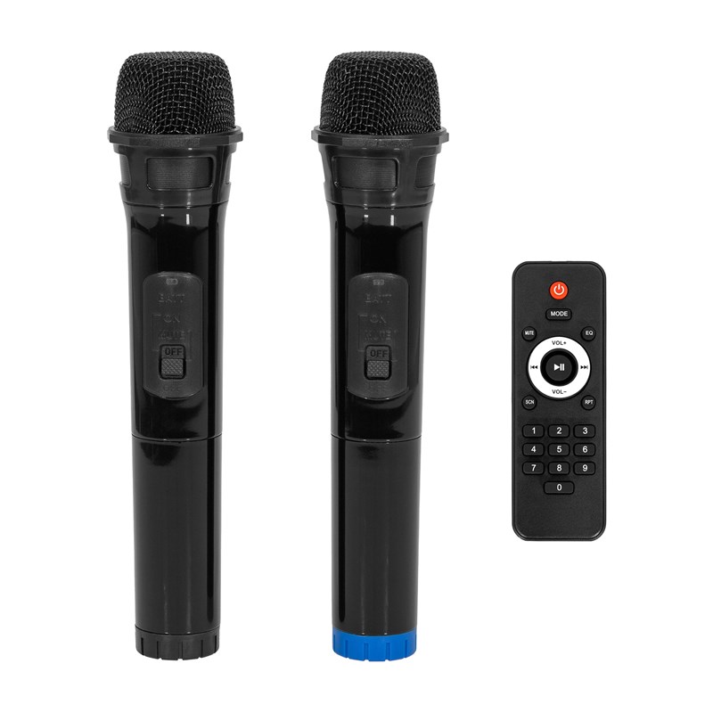 Enceinte portable 12” 500W - 2 micros sans fil - Bluetooth Dj