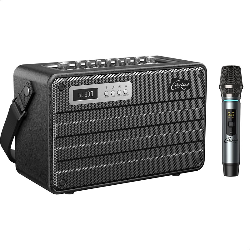 Enceinte