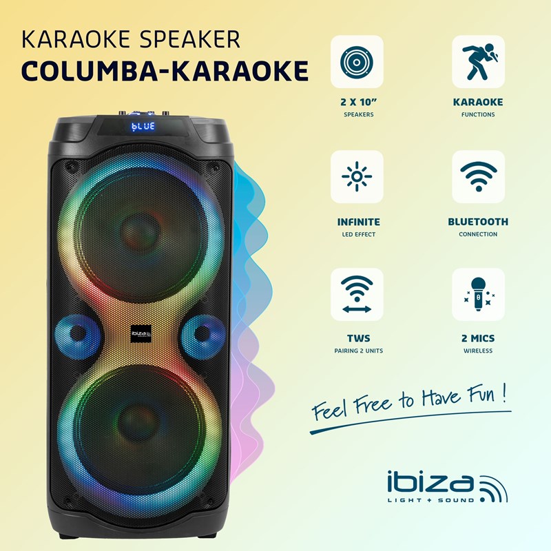 Enceinte Karaoké - 2 x 10"