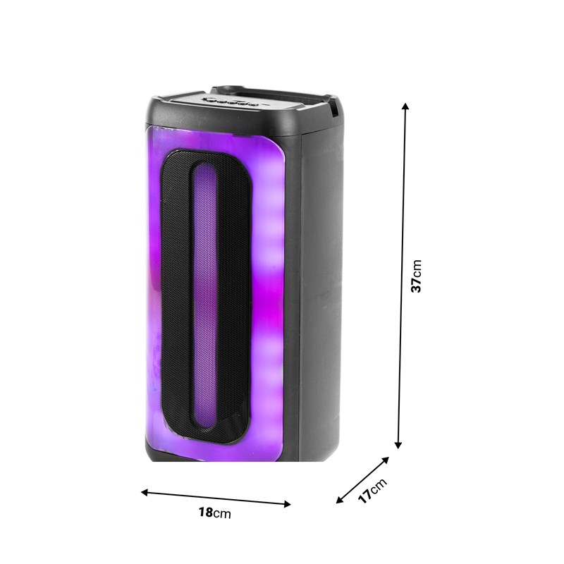 BT SPEAKER 40W, TWS, USB, SD, WIRELESS MIC - dimensions