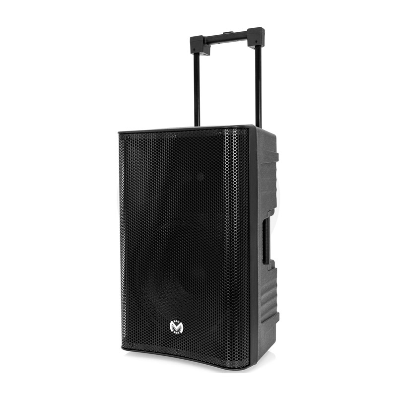 Enceinte portable 12” 500W - 2 micros sans fil - Bluetooth Fête