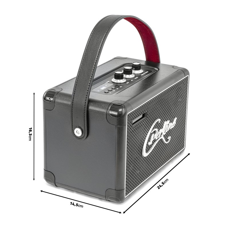 Enceinte BT Autonome 40W avec USB & Batterie Rechargeable sangle