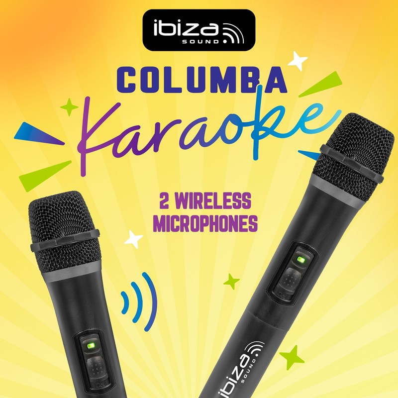 Enceinte Karaoké - 2 x 10" 1000W