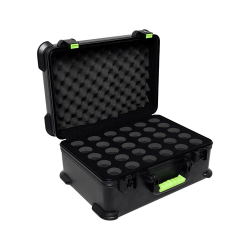 ASG SH-MICCASE30
